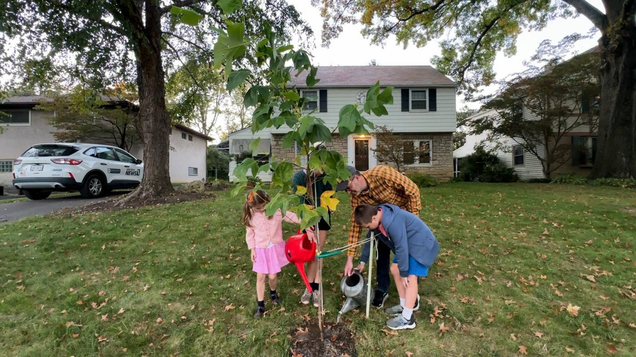 Free trees aim to close Columbus’ tree canopy gap