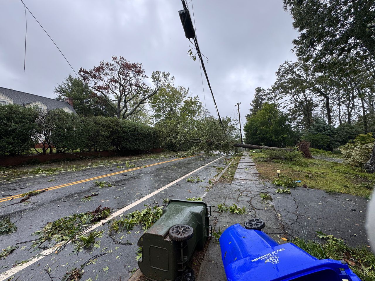 Downed tree and power line blocks road