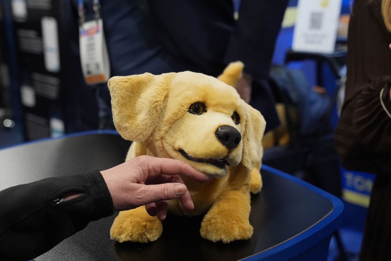 What to expect from CES 2026, the annual show of all things tech?