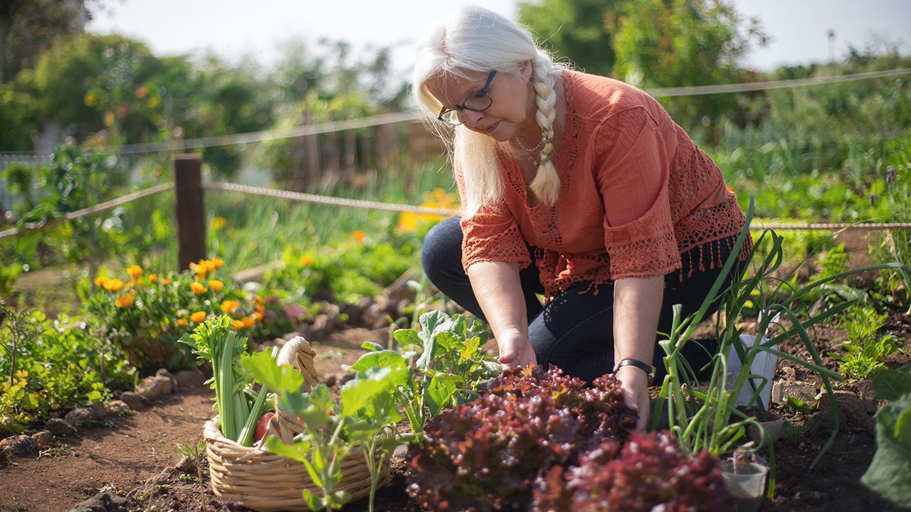 Gardening