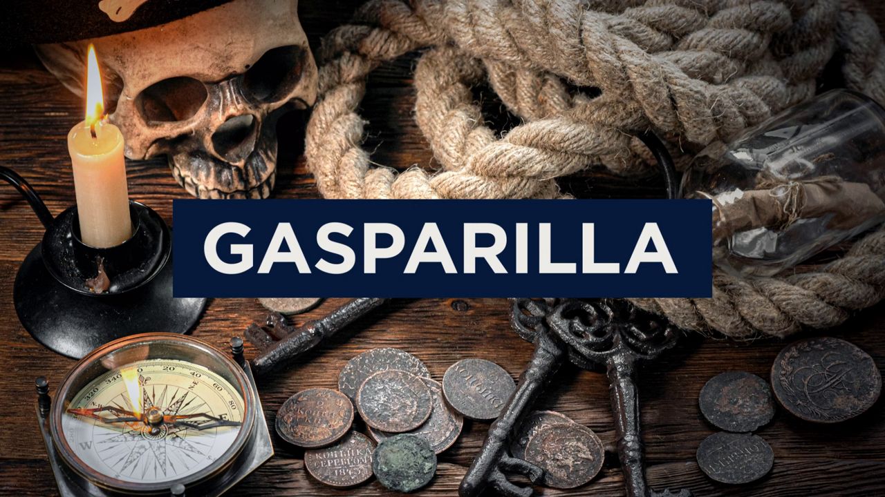 Gasparilla Pirate Fest 2025 Spectrum Bay News 9 Tampa, Florida