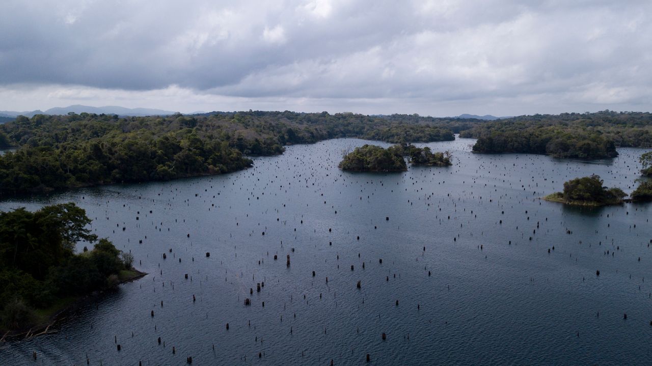 Panama Canal drought causes global shipping delays