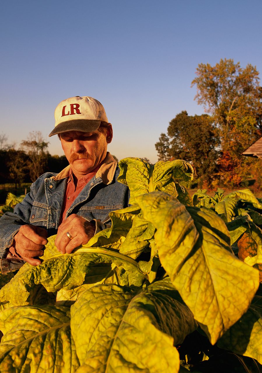 Changing Face of North Carolina The Economy