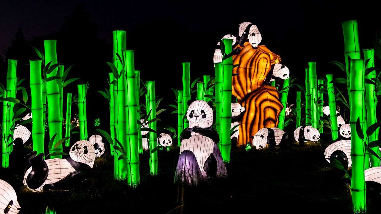 A first-ever Animals Aglow lantern festival will feature more than 60 larger-than-life Chinese lanterns and interactive displays in the shape of plants and wildlife illuminating paths throughout the Zoo at night coming this spring. (Photo courtesy of Tianyu Arts & Culture Inc.)