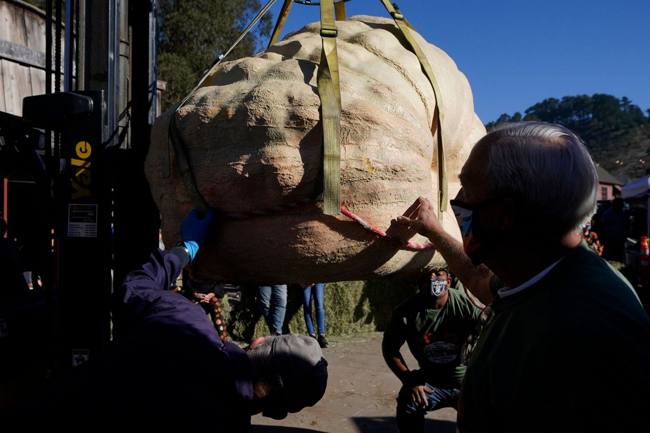 Pumpkin weighing 2,350 pounds wins California contest