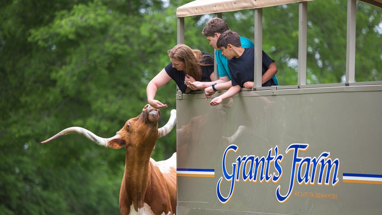 Grant's Farm opens for the season this weekend. (Photo courtesy of Grant's Farm)