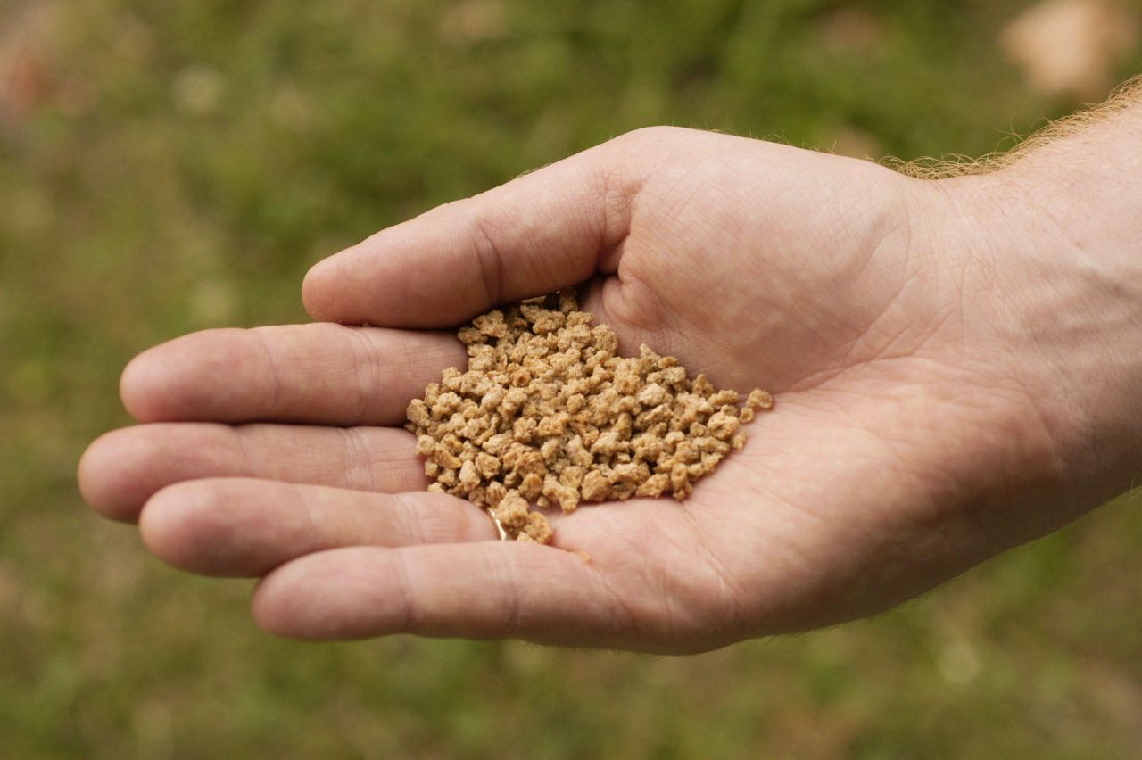 The nuggets of Grape Nuts cereal are a good approximation of the cometary dust grains that create meteor showers.