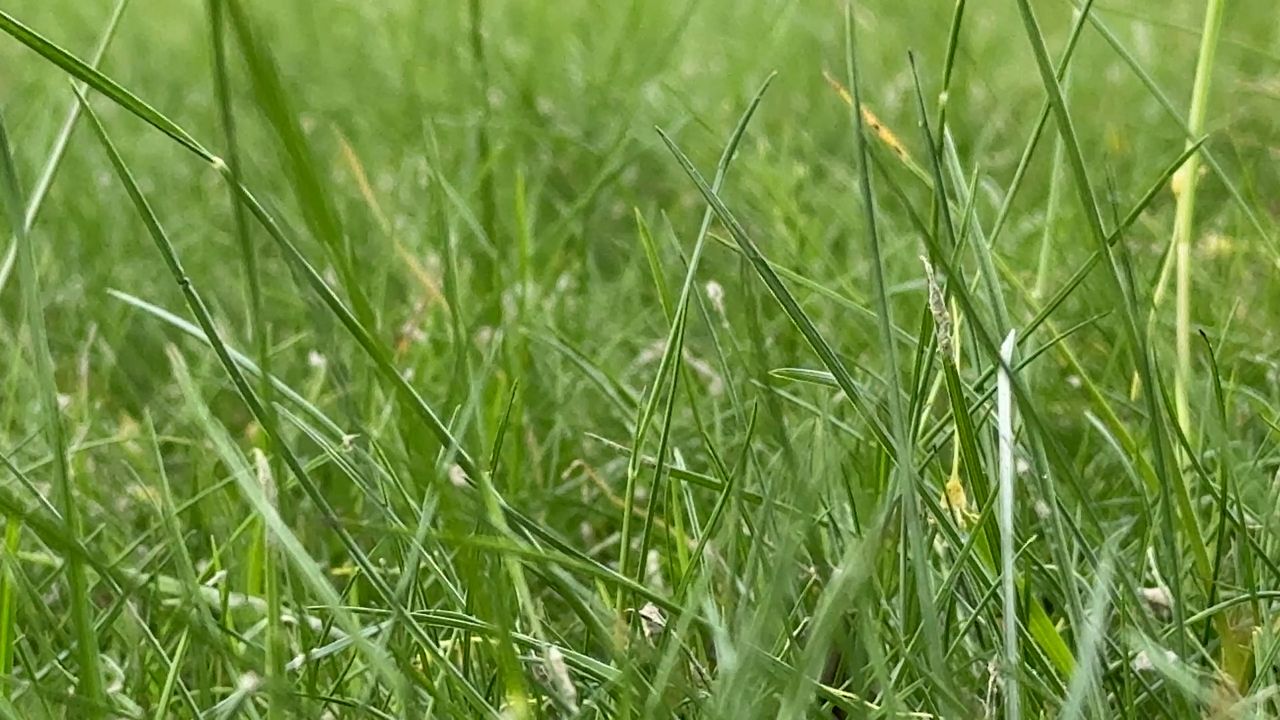 Tick season underway in Massachusetts