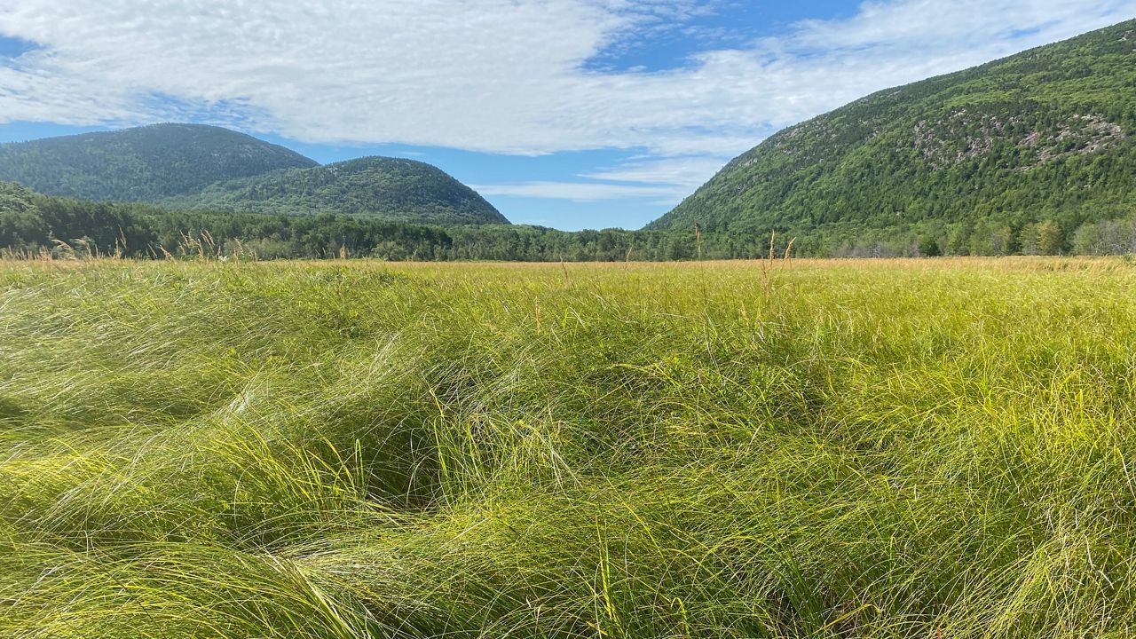 National Park Service seeks comment on Great Meadow work