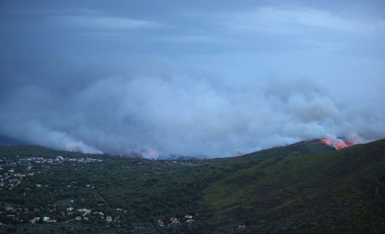 Residents flee forest fire near Greek capital of Athens