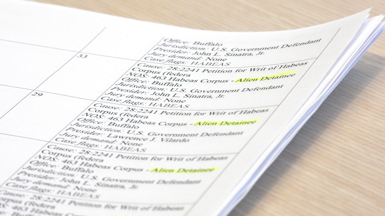 Successful legal challenges increasing in N.Y. as immigration crackdown continues