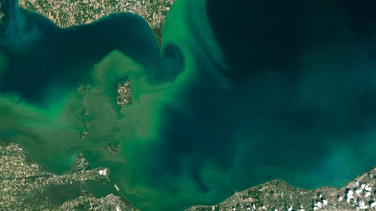 NYS DEC issues warnings, safety reminder as harmful algal blooms begin to form