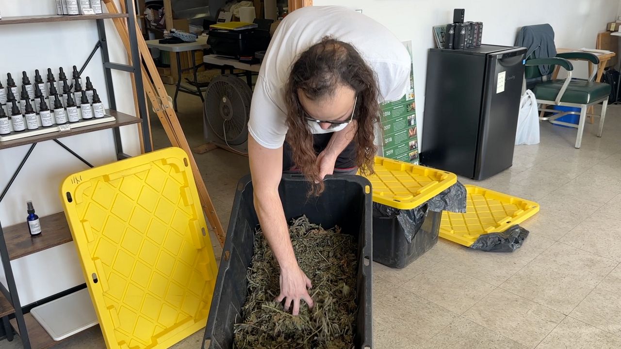 'It’s a strong signal to our industry to get your act together': Hemp farmer reacts to federal ban