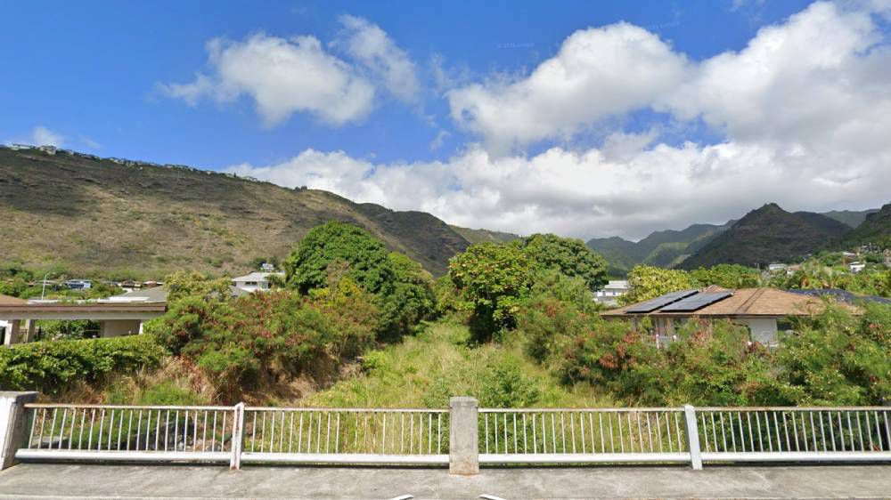 An overgrown Wailupe Stream below East Hind Drive. (Google Street View)