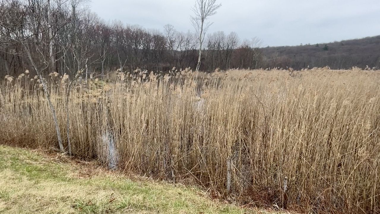 Sterling Forest State Park