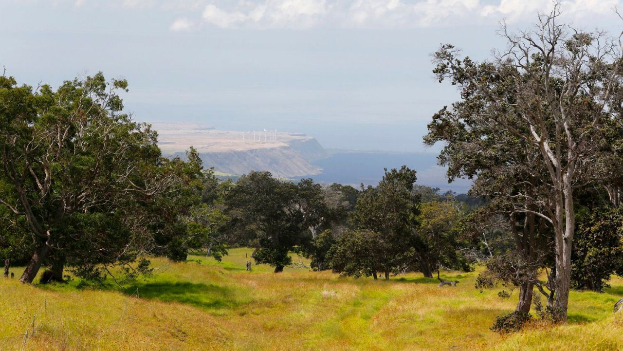 Views of the lower portion of the Kaʻū district. (NPS Photo)