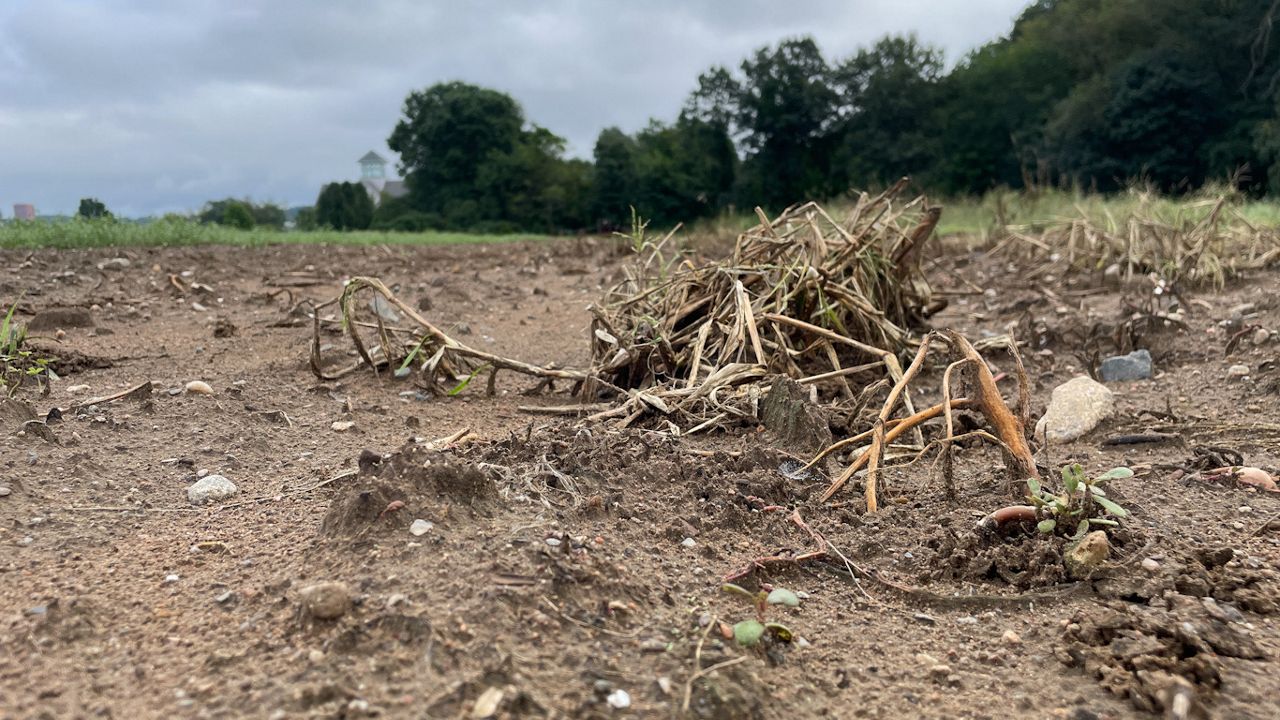 Plainville Farm sees long road to recovery despite state aid