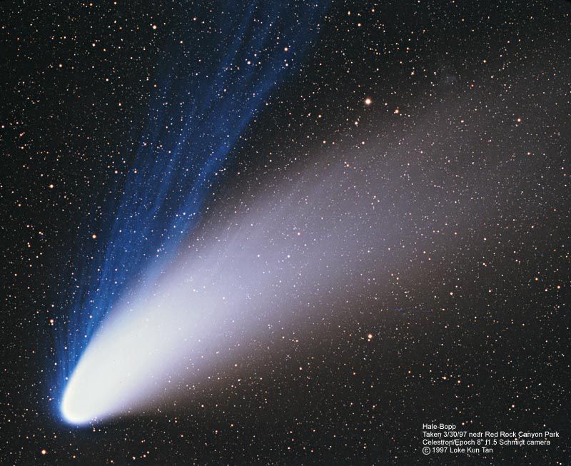 Comet Hale–Bopp. (NASA)