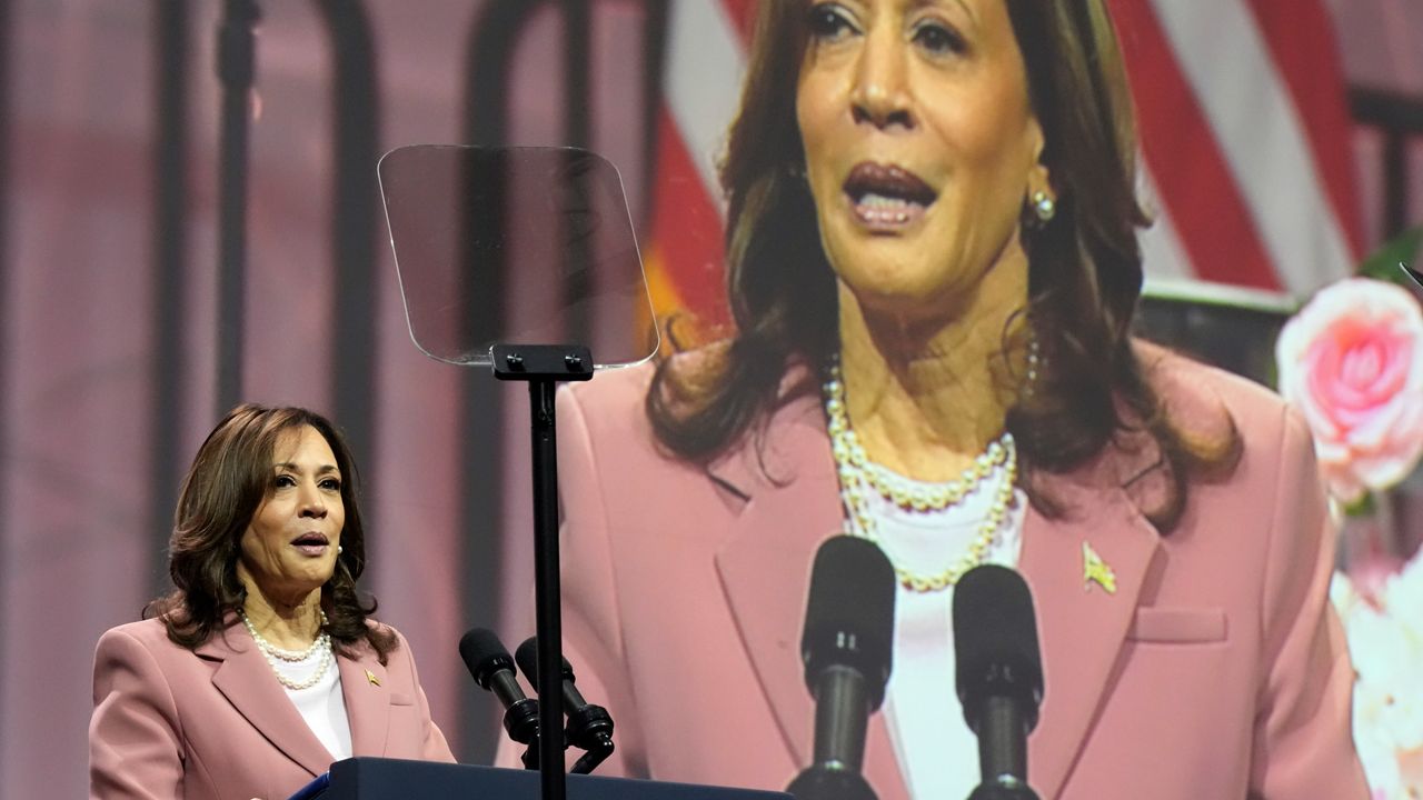 Harris rallies in Dallas as Biden battles Democratic dissent