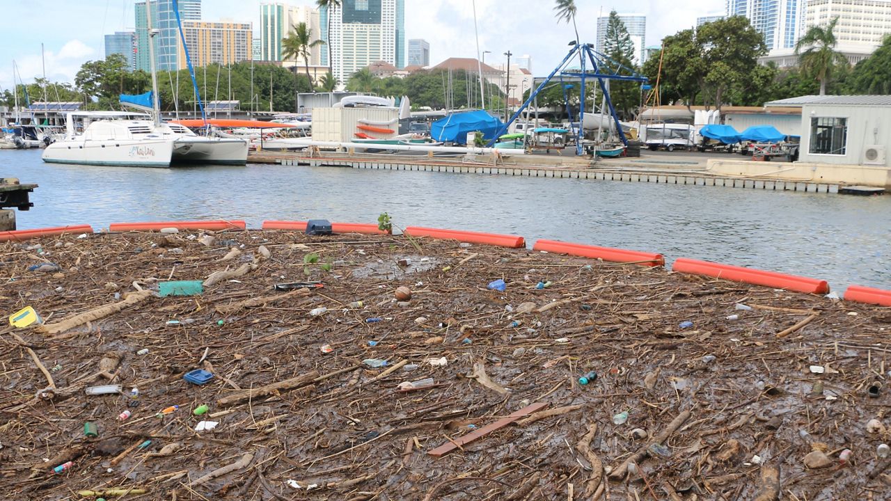 Trash at the Ala Wai Small Boat Harbor (Photo courtesy of DLNR)