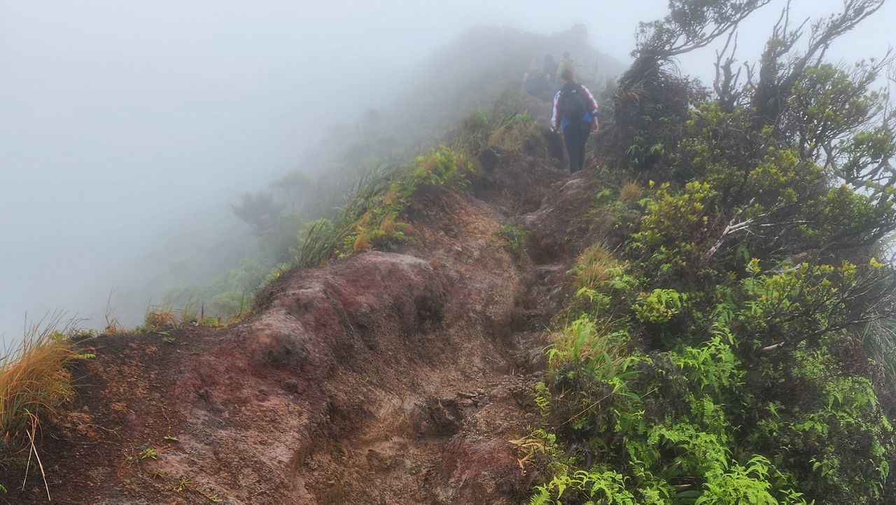 Backside to Stairway, also referred to as the Middle Ridge, is a portion of the Moanalua section of the Honolulu Watershed Forest Reserve and an alternative route to access Haiku Stairs. (Photo courtesy of DLNR)