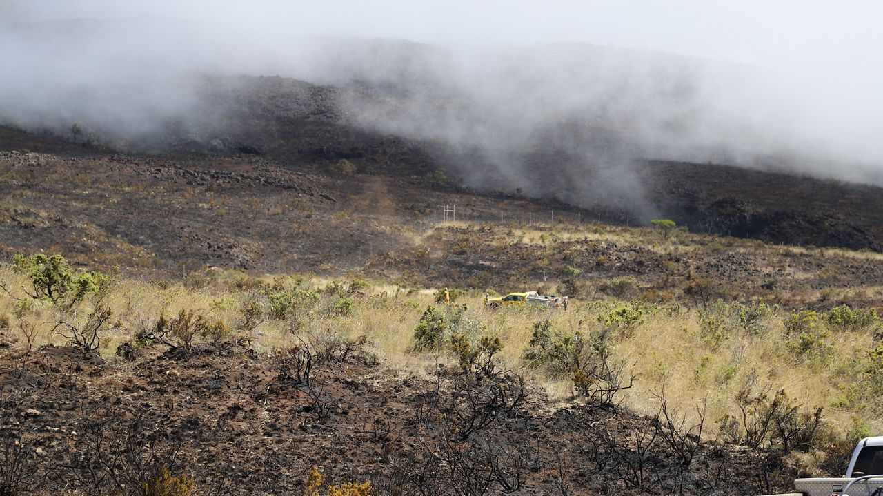 The Maui Fire Department reported that the Crater Road fire is 50% contained as of Thursday at 8 p.m. (Photo courtesy of DLNR)