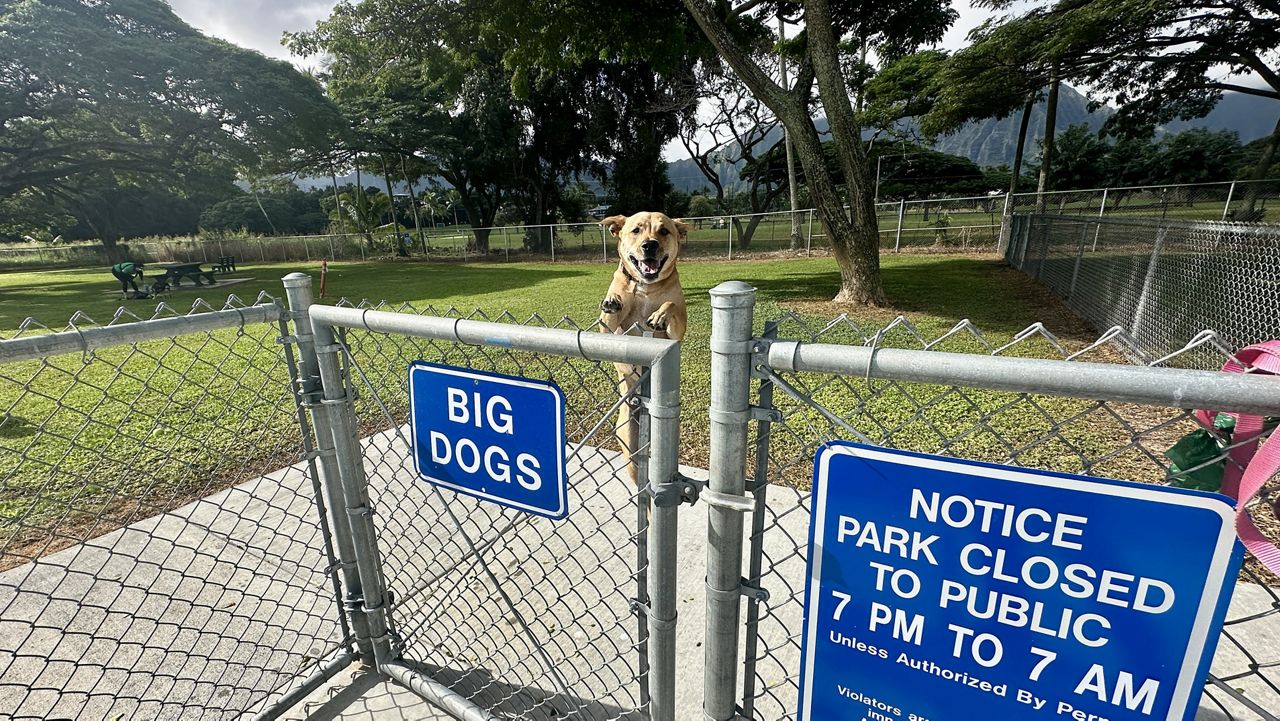 (Photo courtesy of Honolulu Parks & Rec)