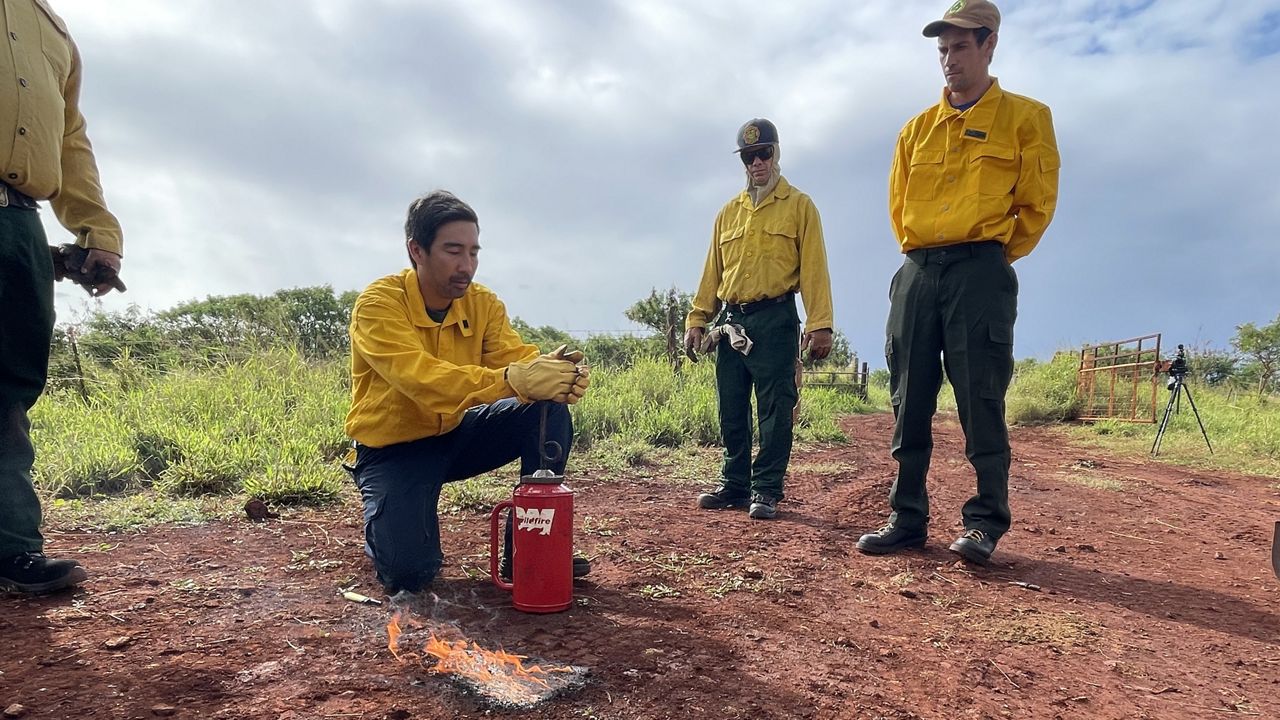 Firefighters participate in an ignition training on Kauai on Feb. 15, 2024. (Photo courtesy DLNR)