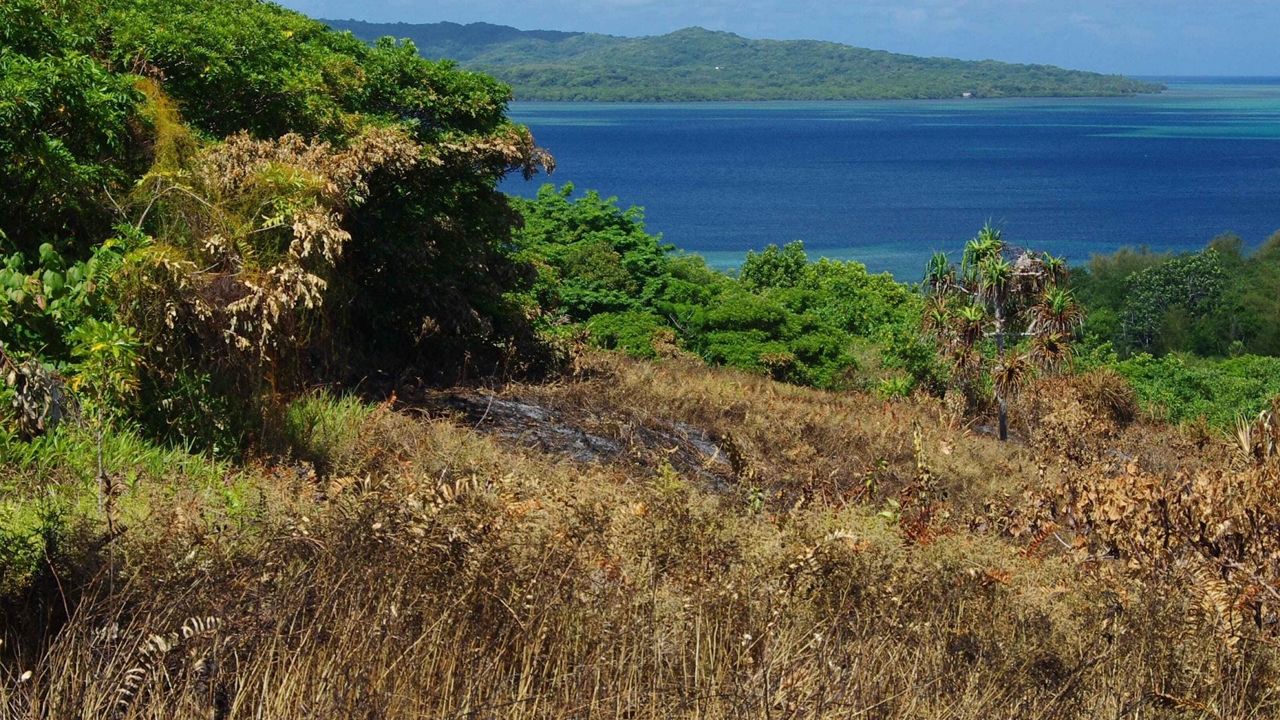 Image shows fire stopped at a forest's edge on the island of Rumung in Micronesia. (Photo courtesy of the University of Hawaii)