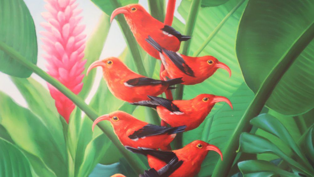 One of the works of art featuring ʻiʻiwi in the “Wings and Woodlands: A Tribute to Native Birds and Forests” exhibit. (Photo courtesy of Hawaii DLNR)