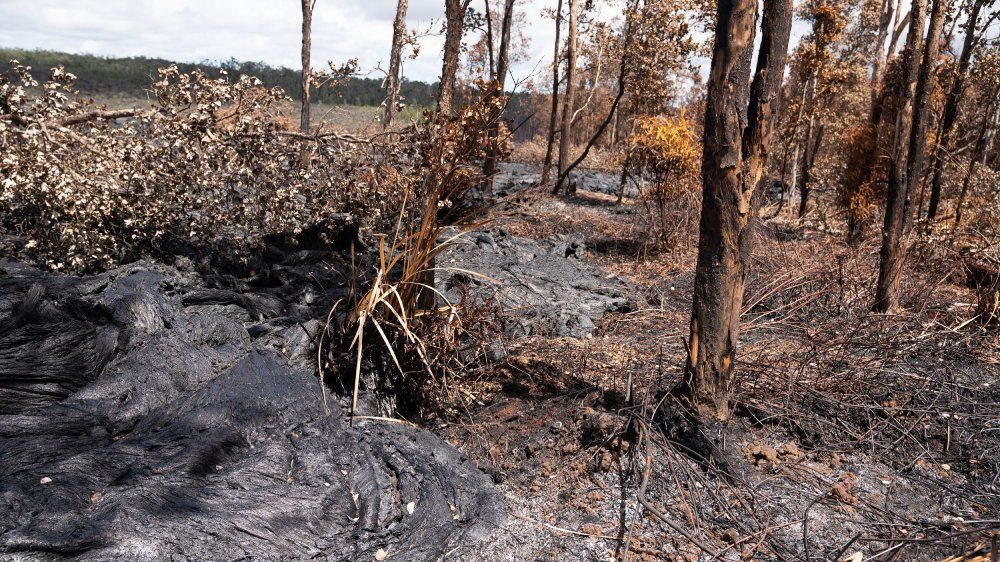 A campsite on the edge of Napau crater was covered entirely by lava during the September 2024 eruption of Kilauea volcano in the east rift zone. (NPS Photo/H. Vidal)