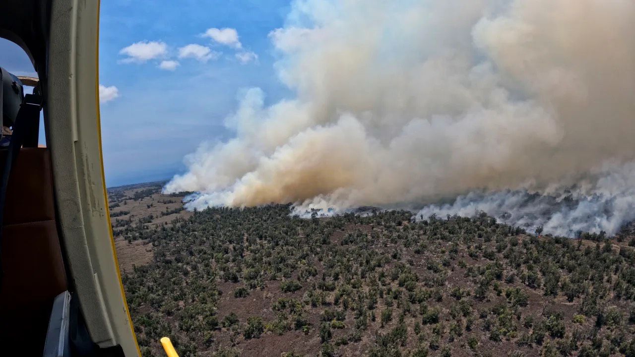 Hawaiian Electric is expanding its Public Safety Power Shutdown program in an effort to help prevent large wildfires like this 2022 Hawaii Island blaze. (Department of Land and Natural Resources, file)