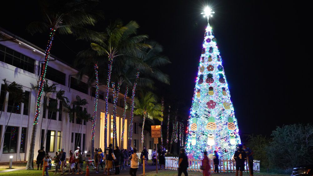 Tree goes up at Honolulu Hale for the Honolulu City Lights