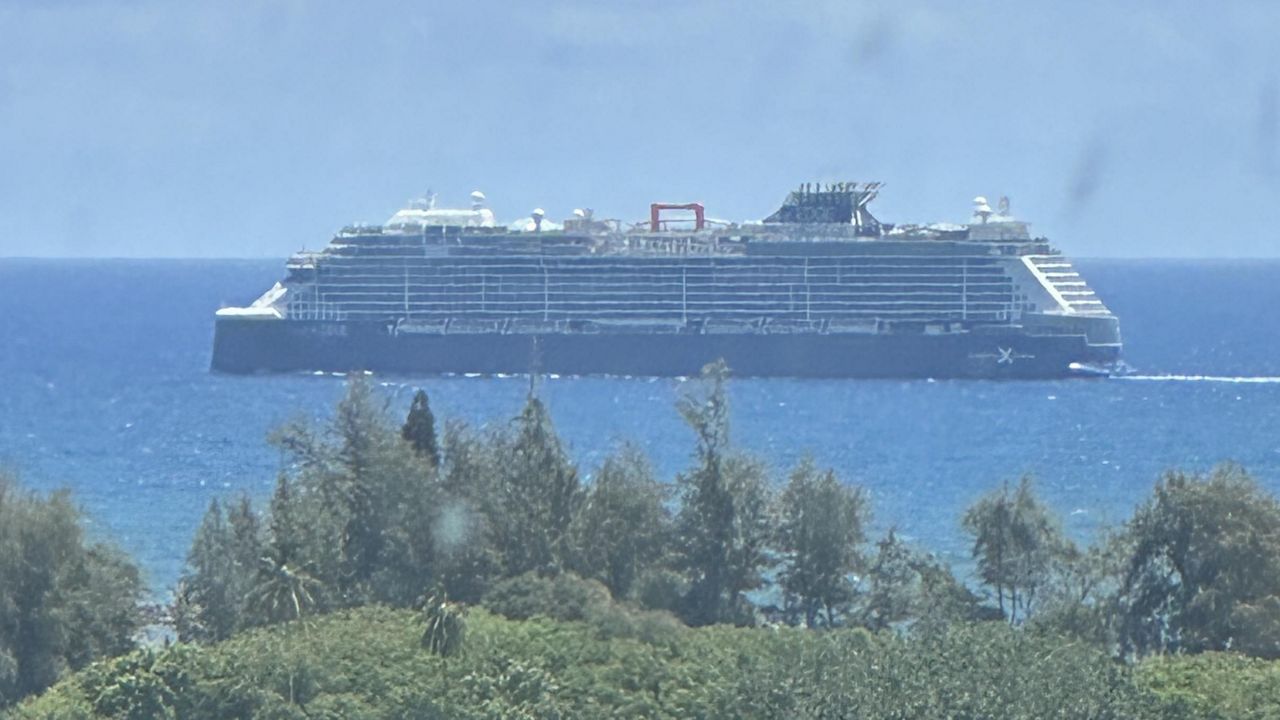Photo of the cruise ship taken as it passed by Kealia Beach near Kapaa. (Photo courtesy of Carolan Cardinez)