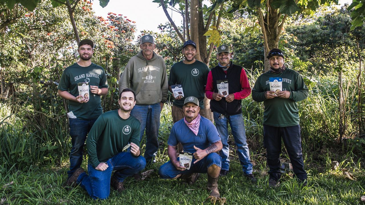 The Island Harvest team holding bags of macadamia nuts. (Hawaii Land Trust)