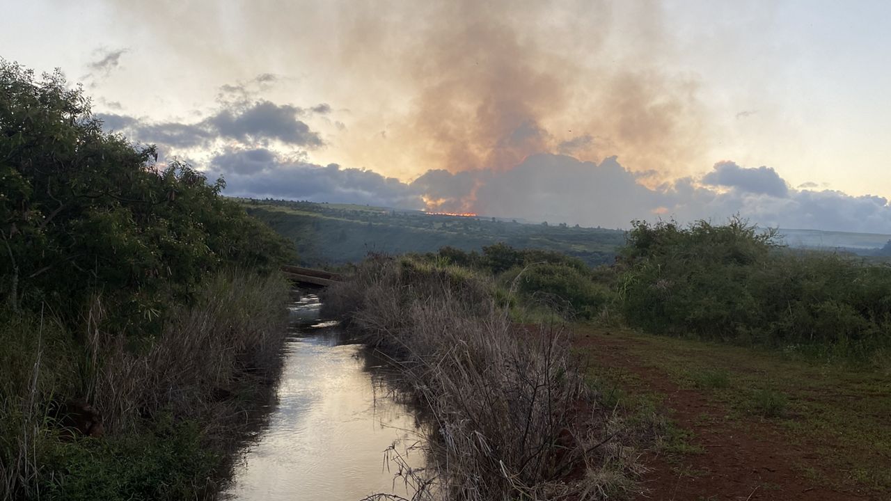 (Photo courtesy of Kekaha Agriculture Association)