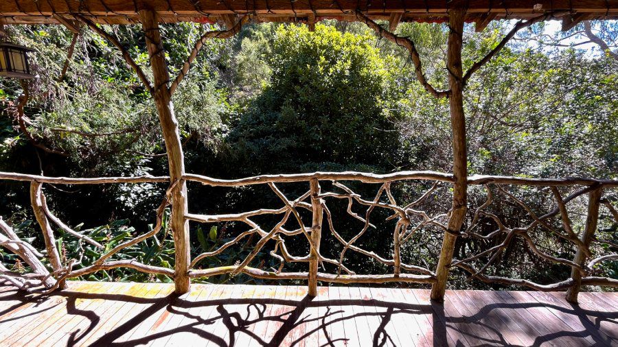 7 cabins in historic Kokee community to be auctioned