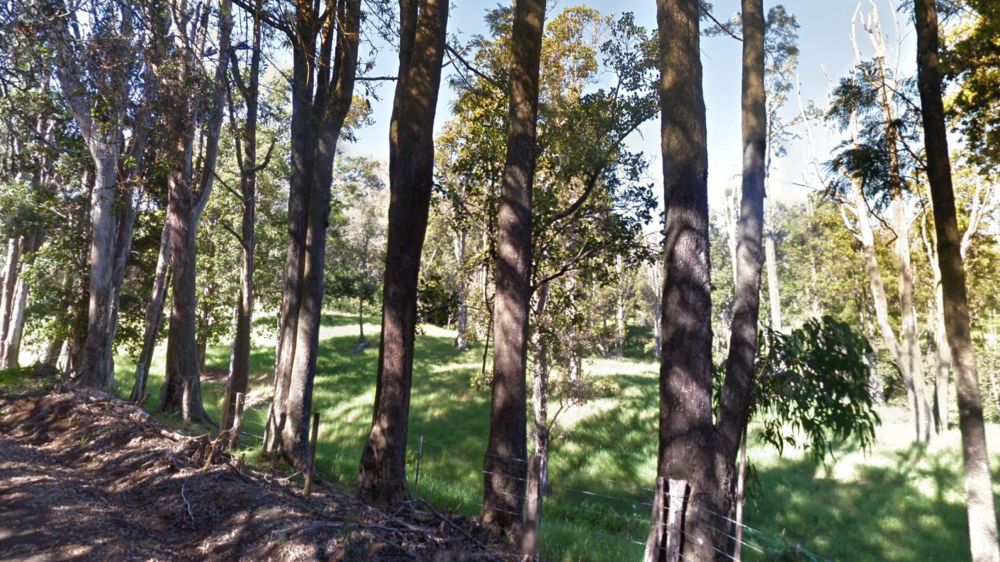 Section of the Manowaialeʻe Forest Reserve. (Google Street View)