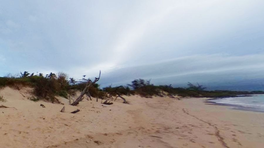 The acquired land comprises 23 acres of shoreline that include Wawau Point and the sand dunes west of Baldwin Beach Park. (Google Street View)
