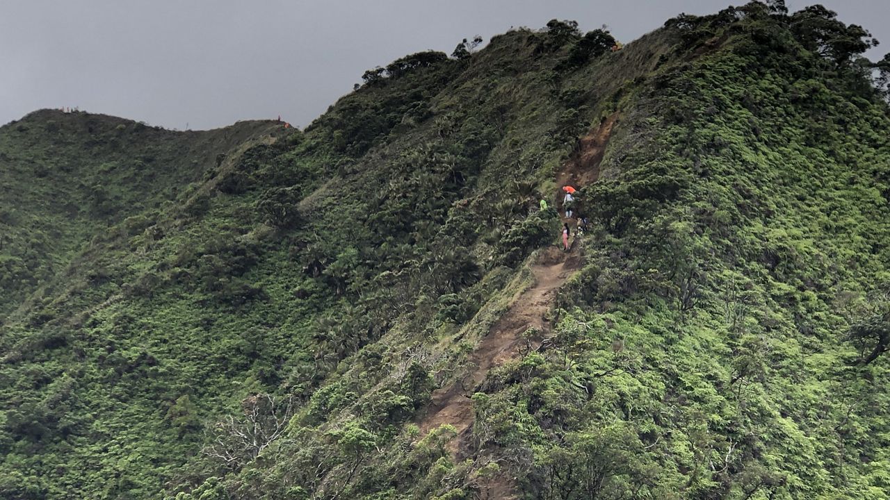 Volunteers seen on the Middle Ridge hike as they work to correct drainage issues. (Photo courtesy of DLNR)