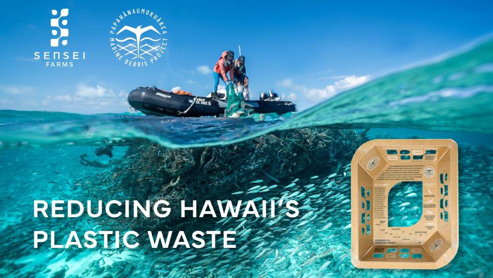 Sensei Farms packaging has a QR code that consumers can scan to support the Papahānaumokuākea Marine Debris Project in their donation match drive on Giving Tuesday and through the holidays. (Image by A. Sullivan-Haskins/PMDP)