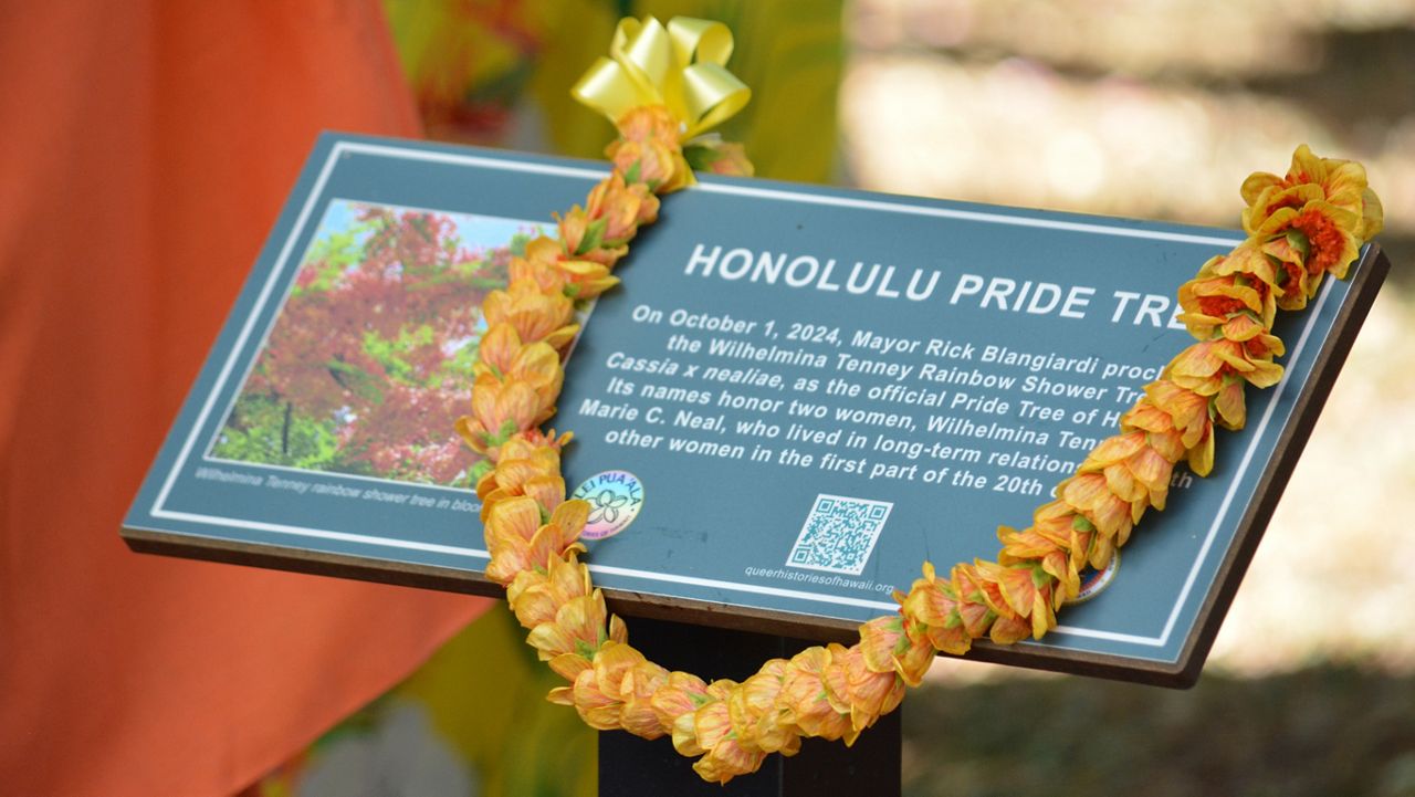 Mayor Rick Blangiardi declared the Rainbow Shower Tree as the “Official Pride Tree of Honolulu" at a ceremony on Tuesday. (Photo courtesy of the City and County of Honolulu)