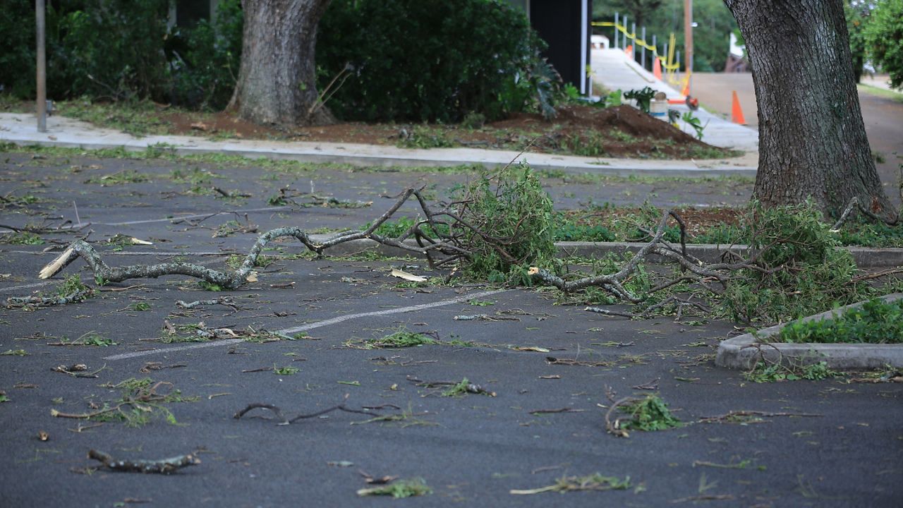 Strong winds cause power outages, tree damage across Hawaii