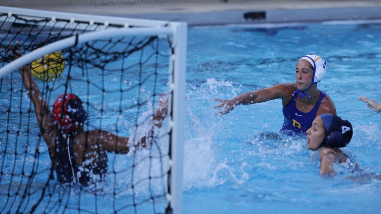 Punahou battles way through state water polo bracket