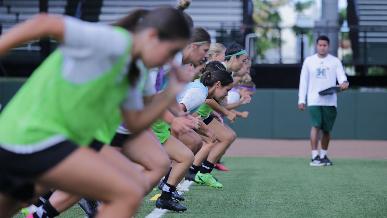 Women's Joggers Hawaii Soccer Academy – SUPPORT ALOHA