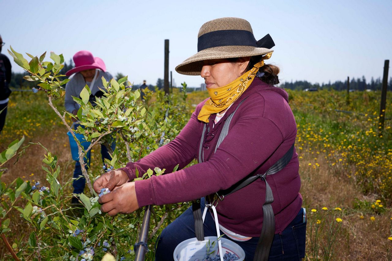 Climate change ratchets up the stress on farmworkers on the front lines ...