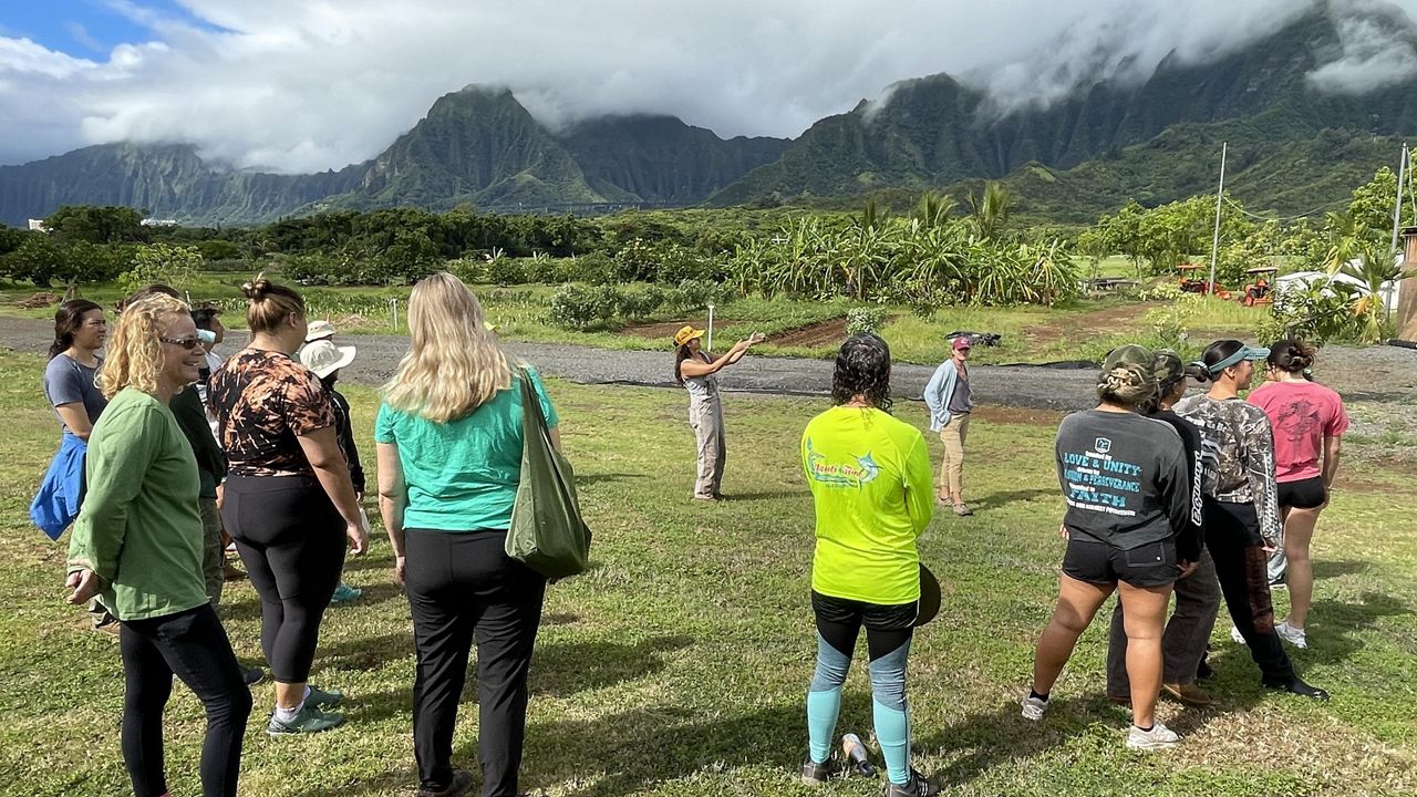 Volunteers gather in Heeia (Photo courtesy of University of Hawaii)