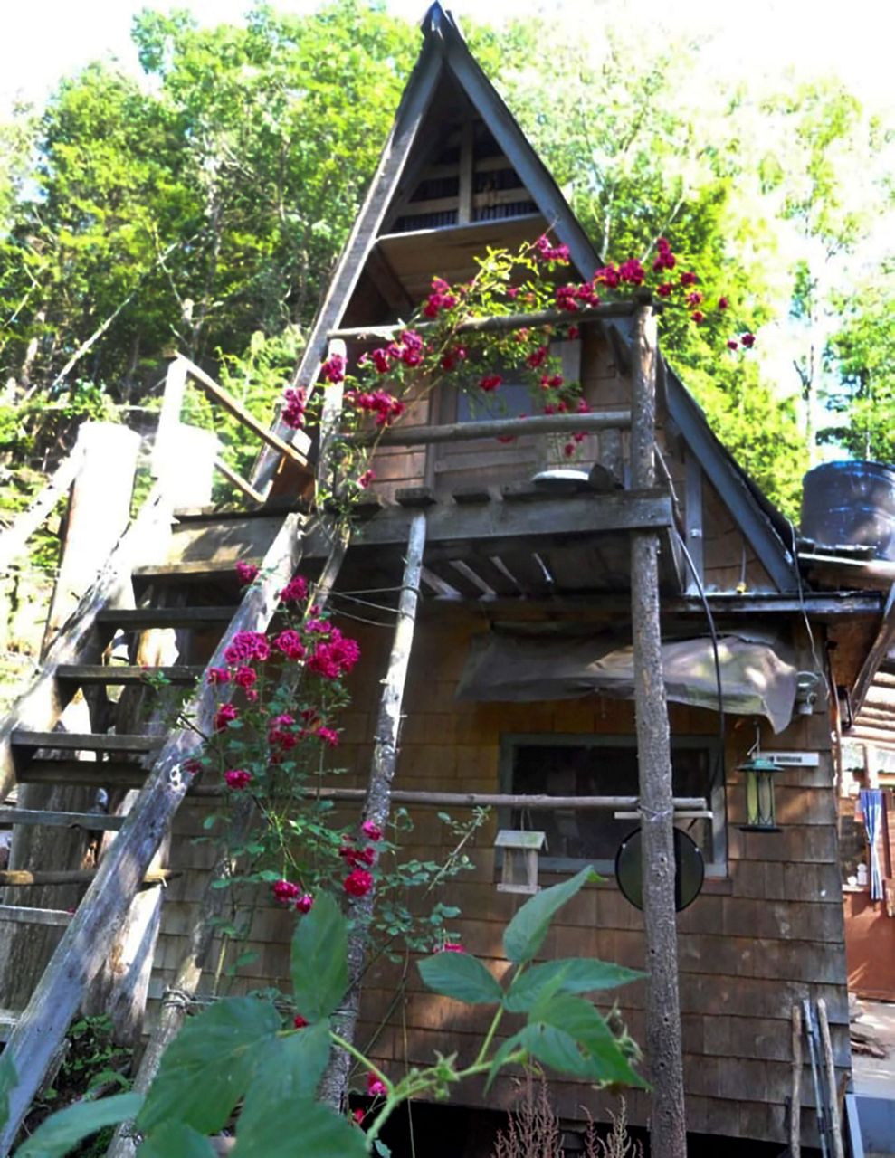 After Decades In Woods New Hampshire Man Forced From Cabin