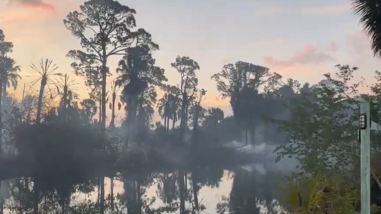 Hernando Beach brushfire 90% contained, Dunedin secures funding for pier rebuild and NASA to launch Artemis II crew this week