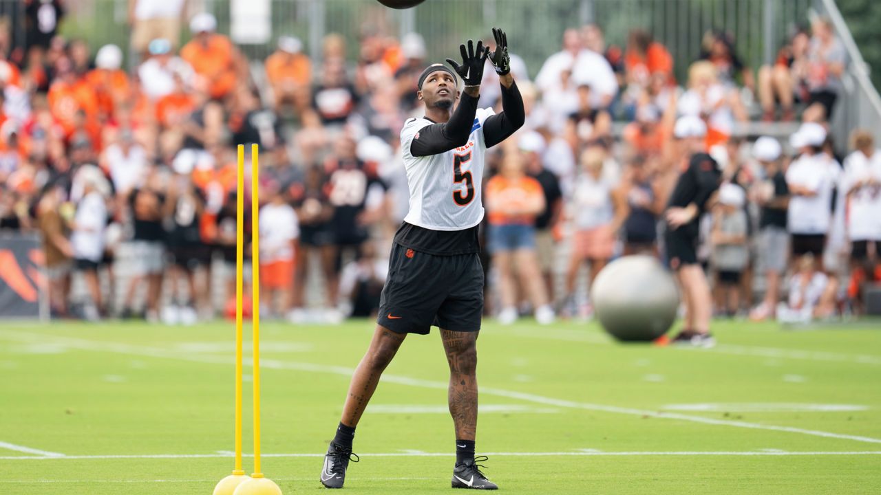 Cincinnati Bengals wide receiver Tee Higgins (5) catches a pass during the NFL football team's training camp on Wednesday, July 24, 2024, in Cincinnati. (AP Photo/Emilee Chinn)